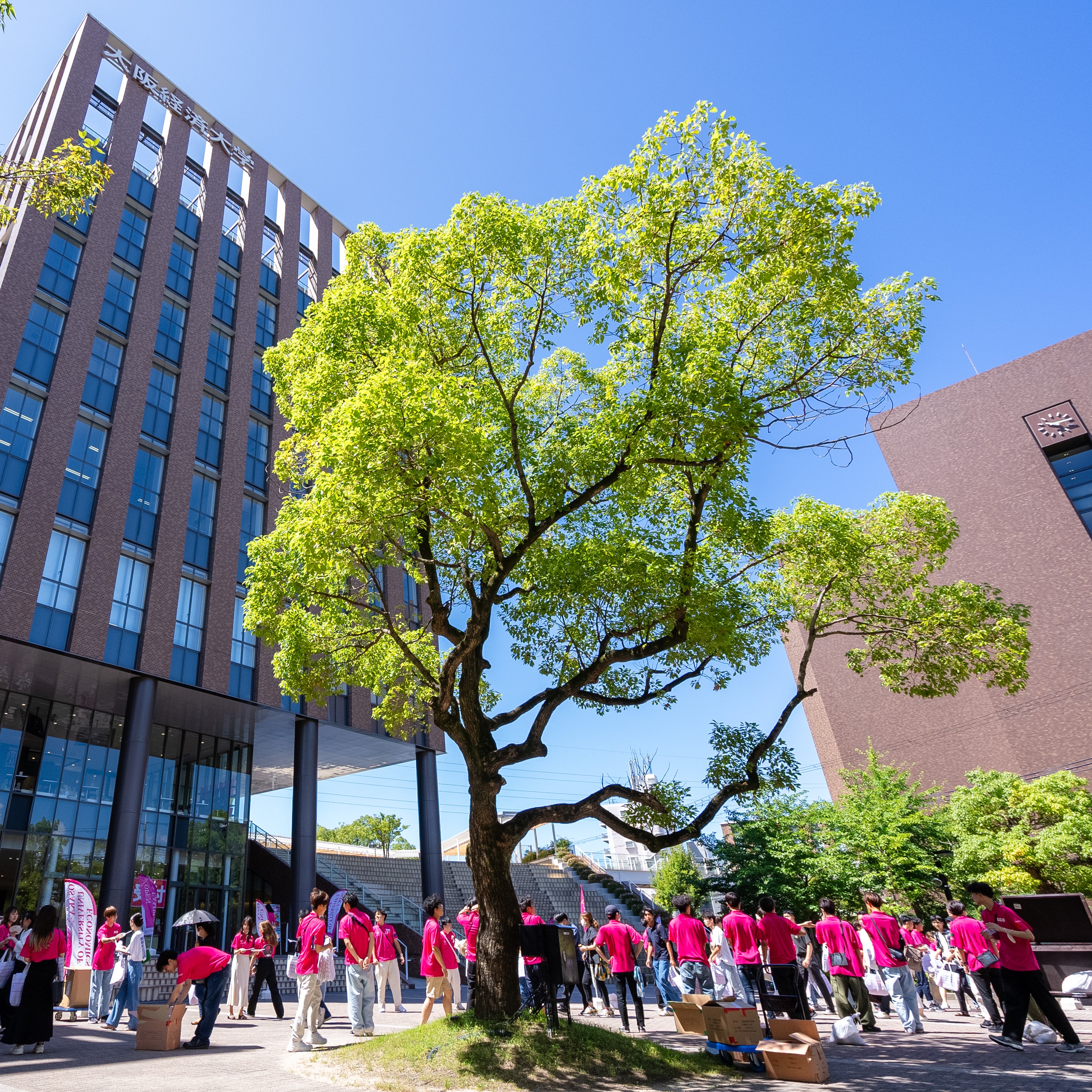 大阪経済大学