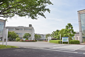 つくば国際大学