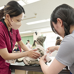 中央動物専門学校