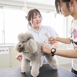 中央動物専門学校のcampusgallery