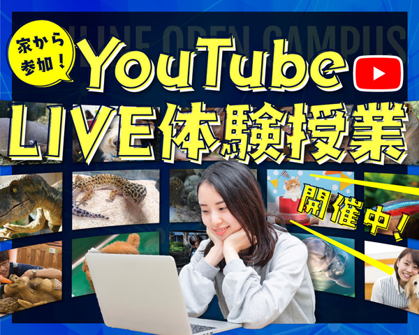 ＴＣＡ東京ＥＣＯ動物海洋専門学校