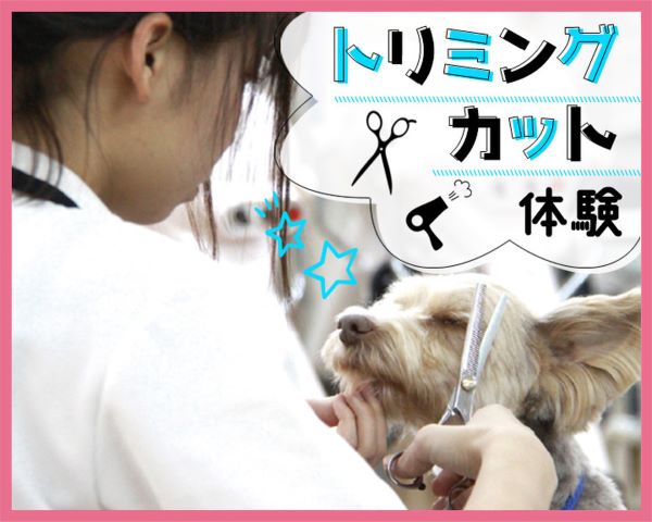 ＴＣＡ東京ＥＣＯ動物海洋専門学校のオープンキャンパス