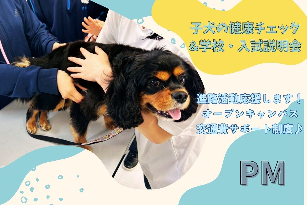 横浜動物専門学校のオープンキャンパス