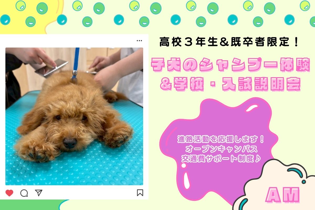 横浜動物専門学校のcampusgallery