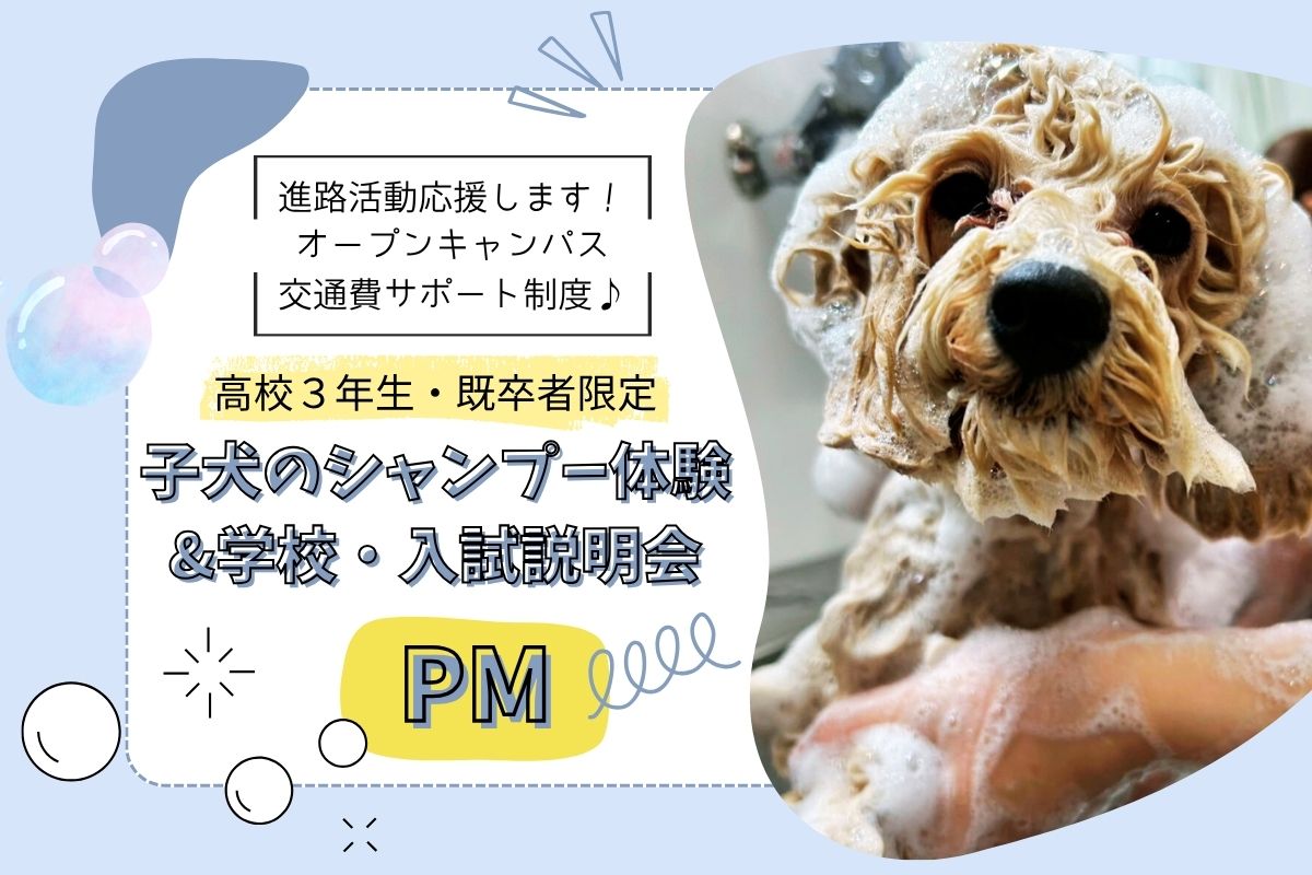 横浜動物専門学校のオープンキャンパス