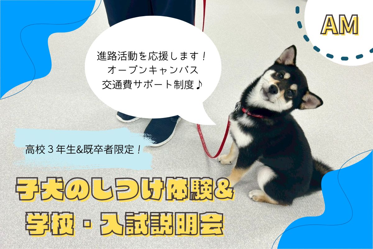 横浜動物専門学校のcampusgallery