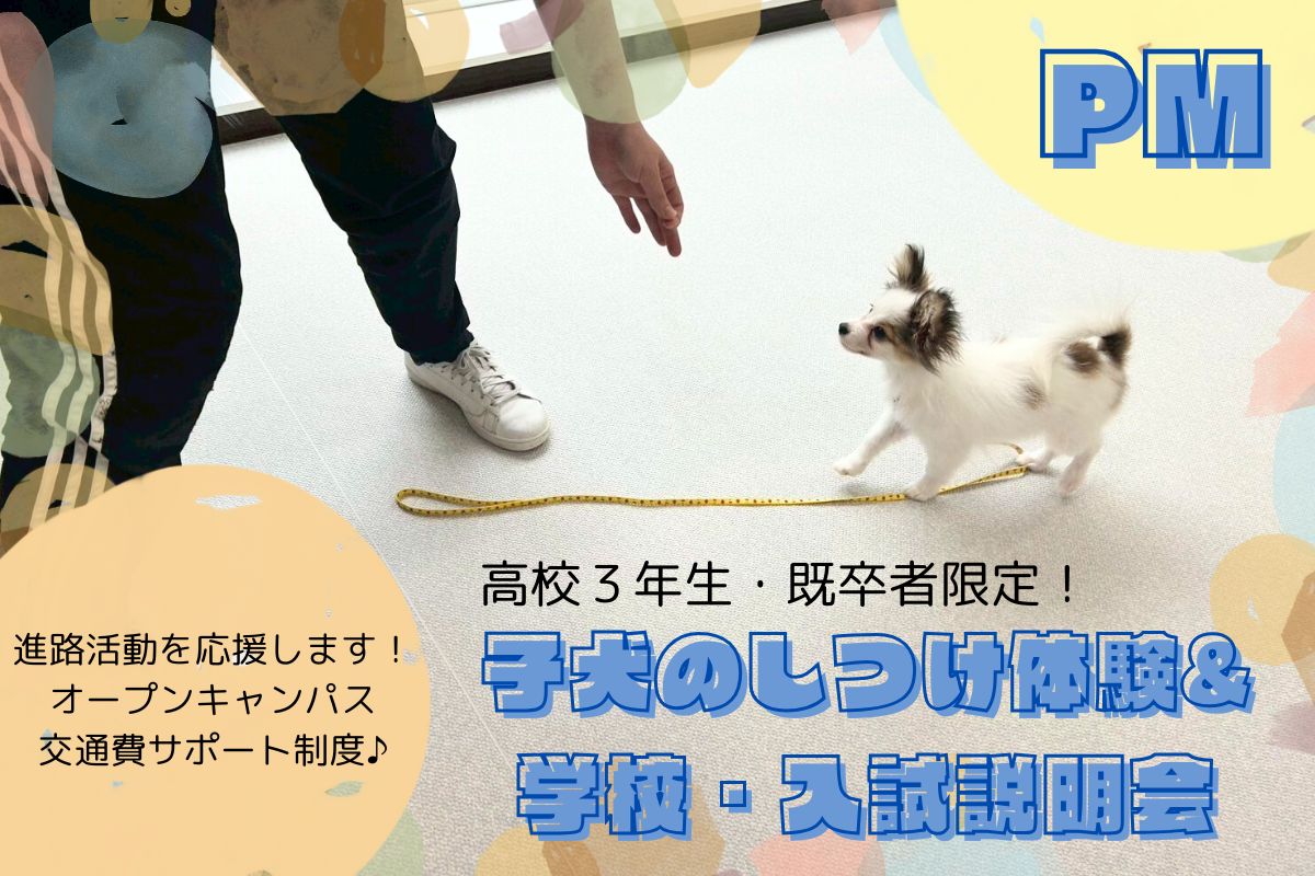 横浜動物専門学校のcampusgallery