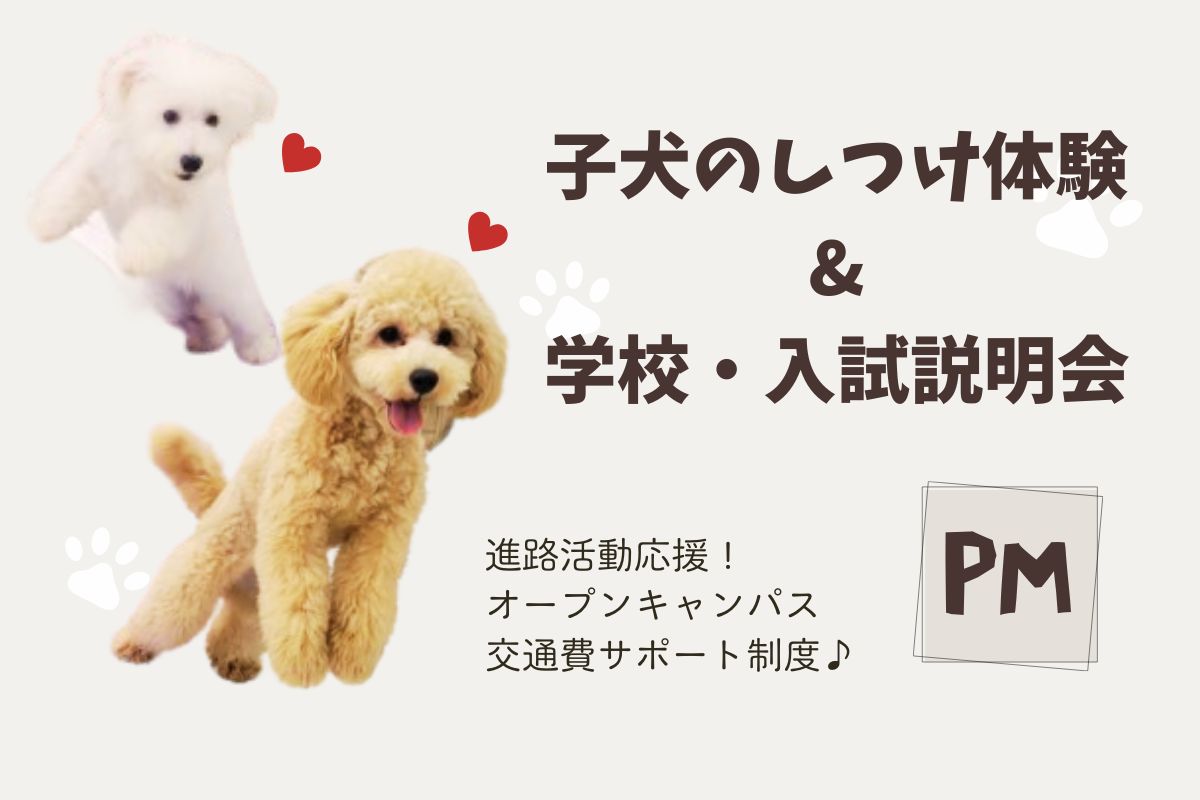 横浜動物専門学校のcampusgallery