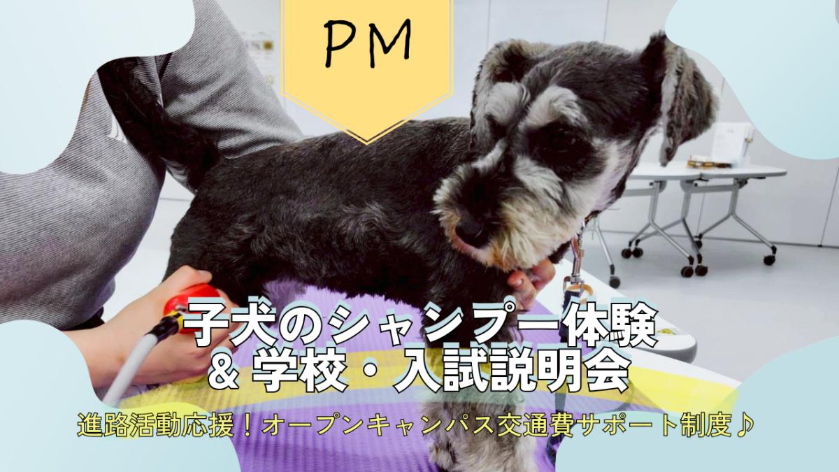 横浜動物専門学校のcampusgallery