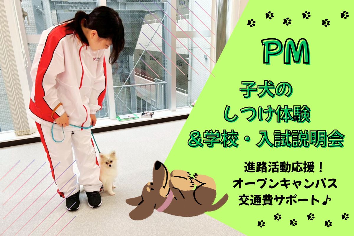 横浜動物専門学校のオープンキャンパス