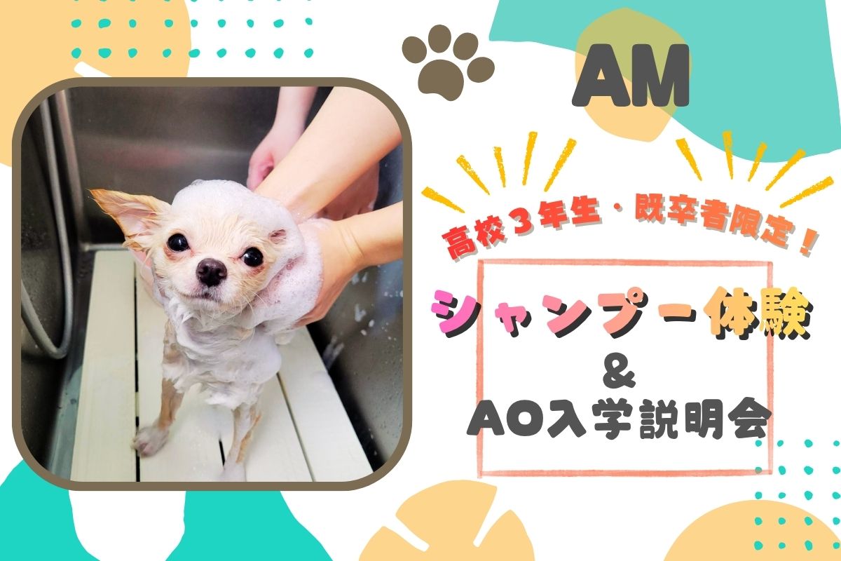 横浜動物専門学校のオープンキャンパス