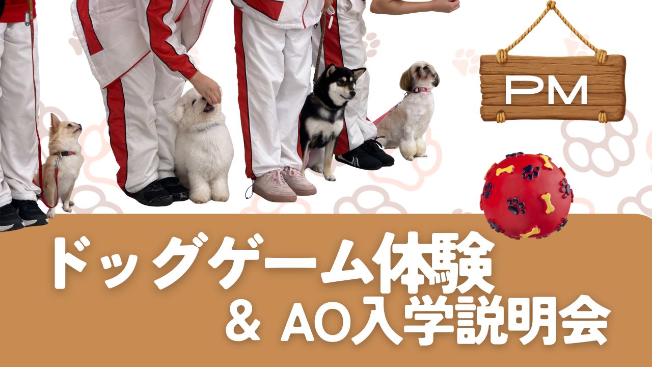 横浜動物専門学校のオープンキャンパス
