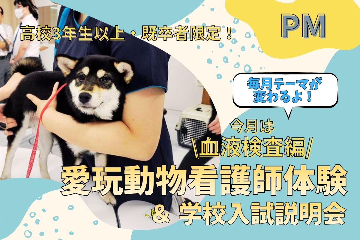 横浜動物専門学校のcampusgallery