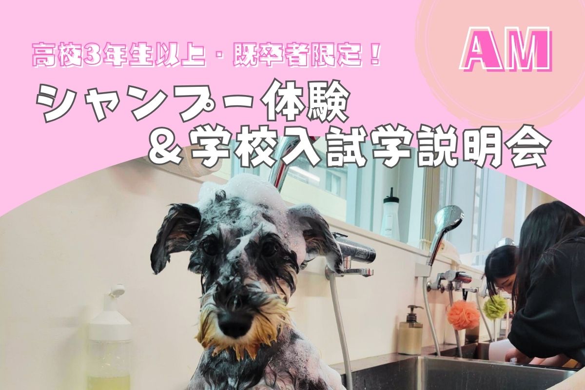 横浜動物専門学校のcampusgallery