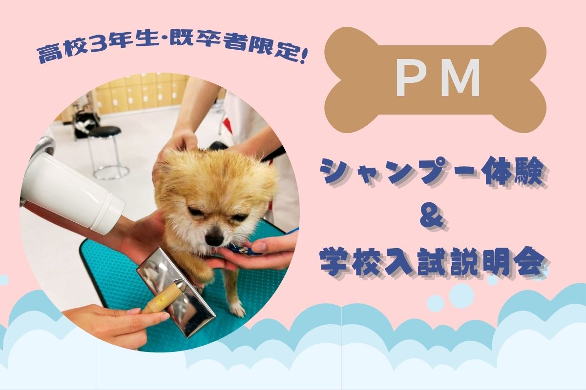 横浜動物専門学校のcampusgallery