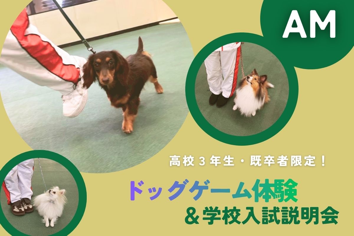 横浜動物専門学校のcampusgallery