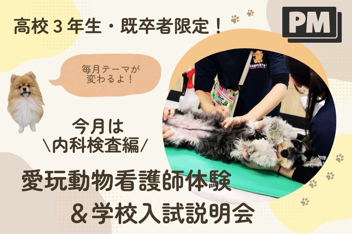 横浜動物専門学校のcampusgallery
