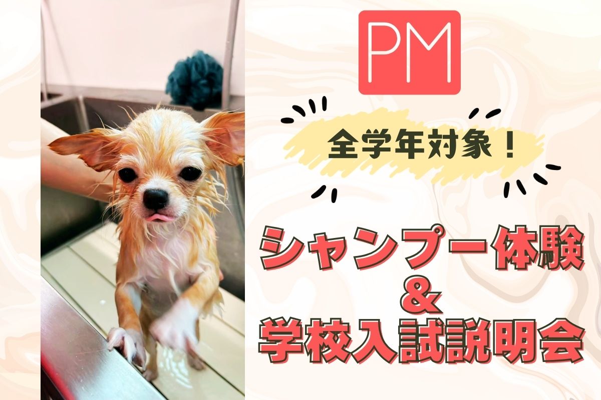 横浜動物専門学校のcampusgallery