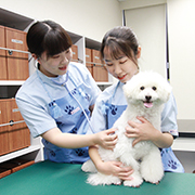 ヤマザキ動物専門学校の説明会