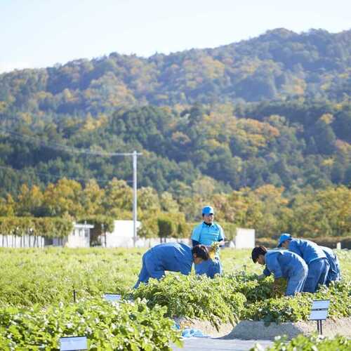 タキイ研究農場付属園芸専門学校のオープンキャンパス