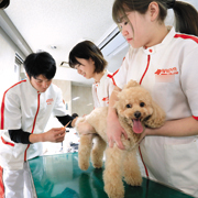 名古屋動物専門学校のオープンキャンパス