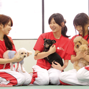 名古屋動物専門学校のオープンキャンパス