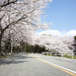 福岡国際音楽大学（仮称）のcampusgallery