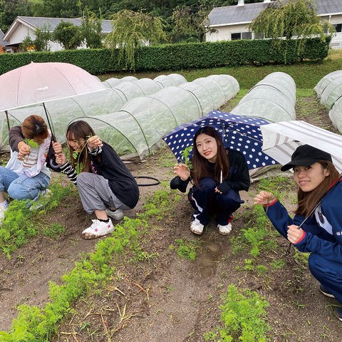 食農マーケティング論