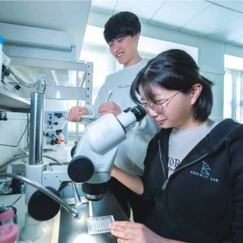 全能性細胞（生命医科学科）