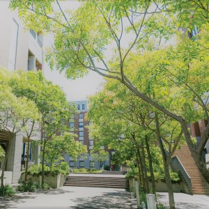 九州国際大学1