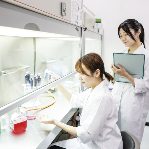 国際医療福祉大学1(/福岡県)