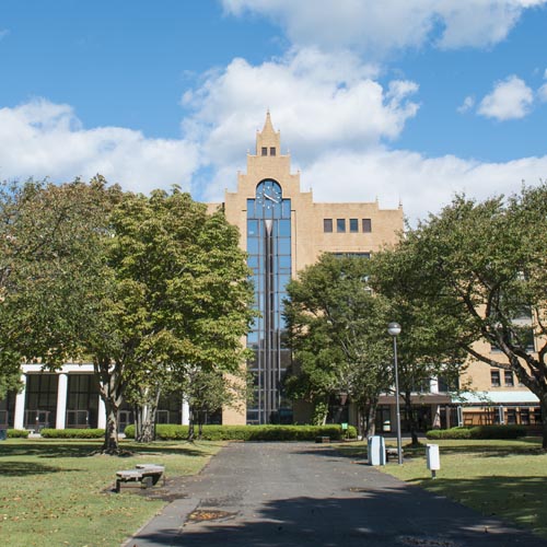 駿河台大学1