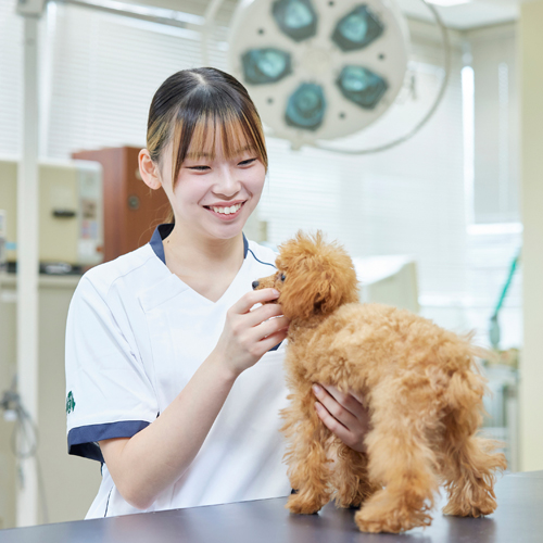 大宮国際動物専門学校1