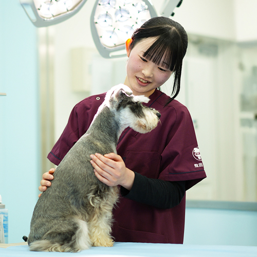 高崎動物専門学校1