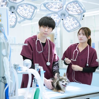 高崎動物専門学校1