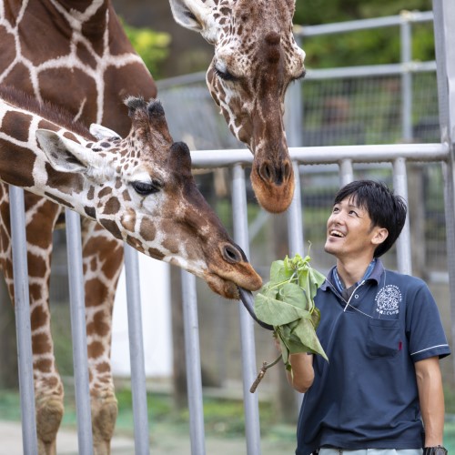 福岡ＥＣＯ動物海洋専門学校1