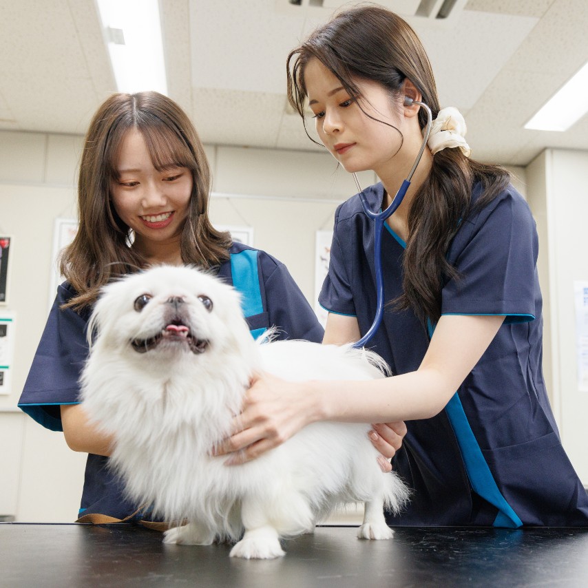 大阪動物専門学校天王寺校
