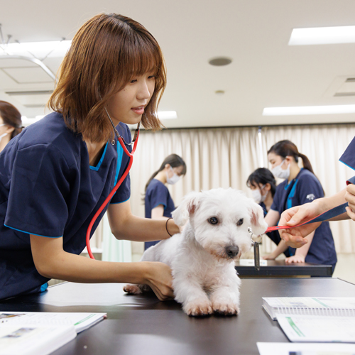 名古屋動物専門学校