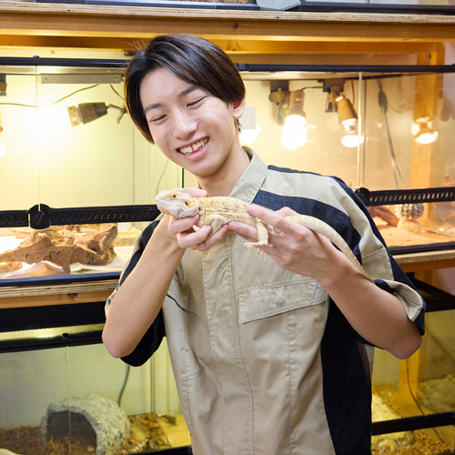 国際動物専門学校2