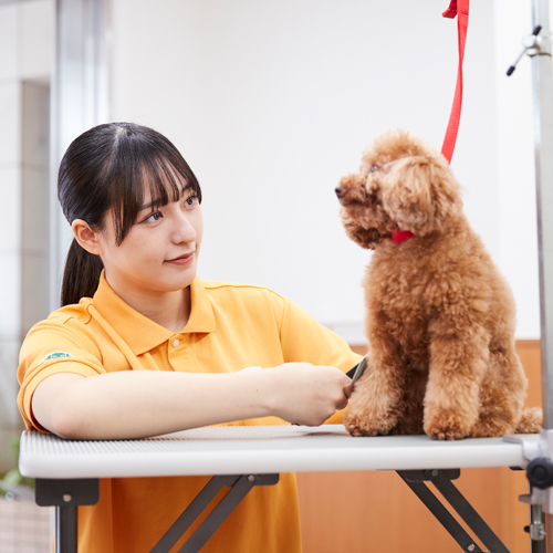 国際動物専門学校4