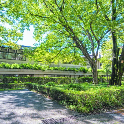 武蔵大学4