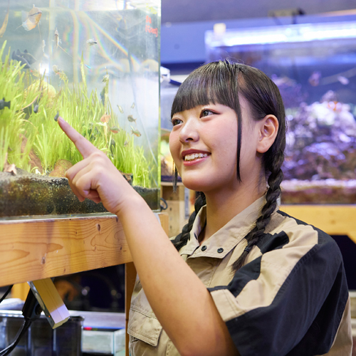 大宮国際動物専門学校2