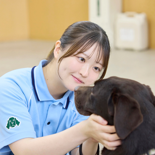 大宮国際動物専門学校3