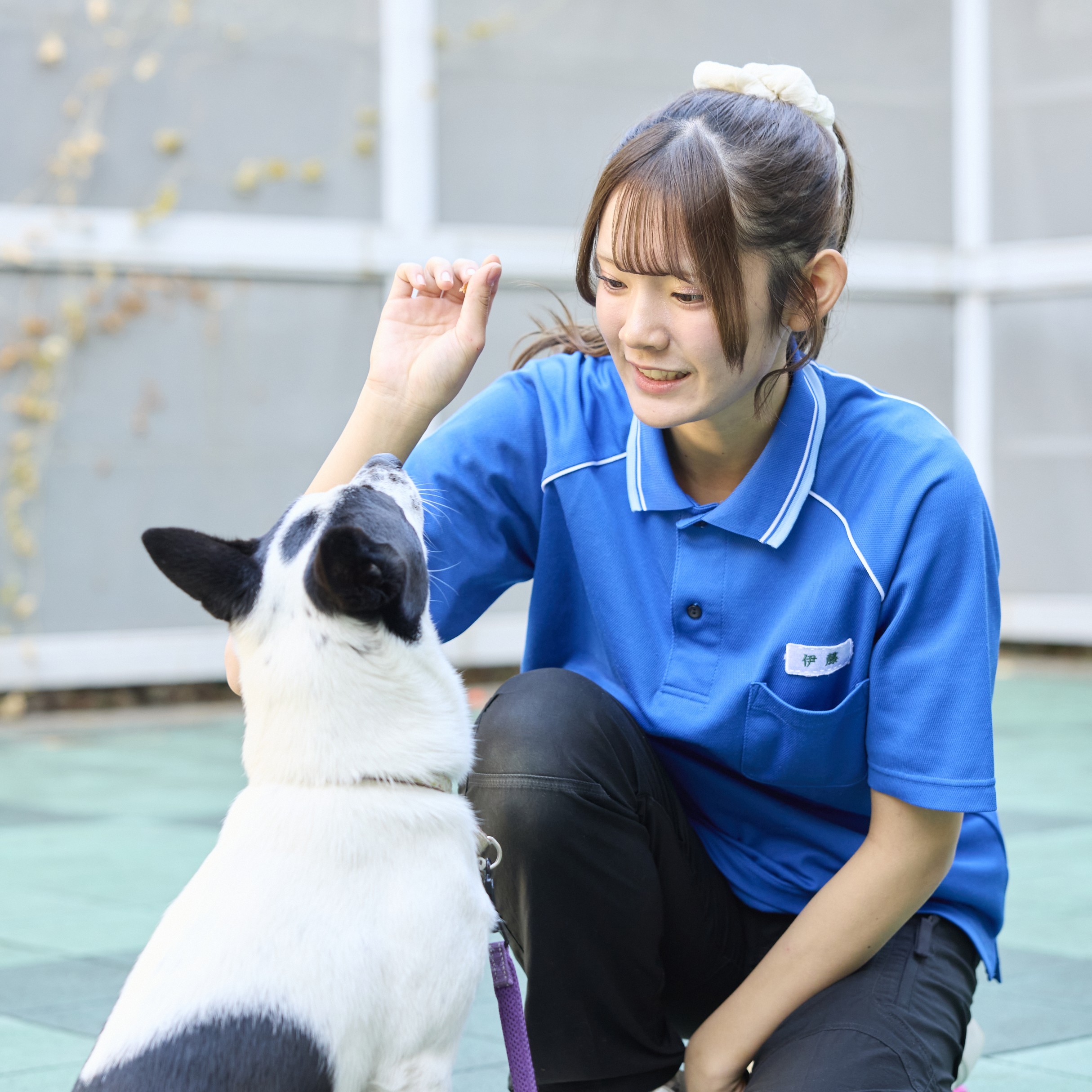 大宮国際動物専門学校3