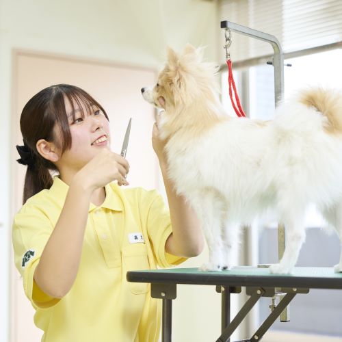 大宮国際動物専門学校4