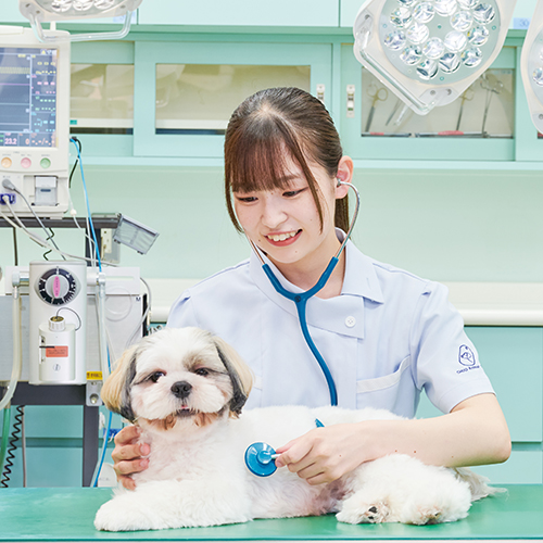 中央動物専門学校3