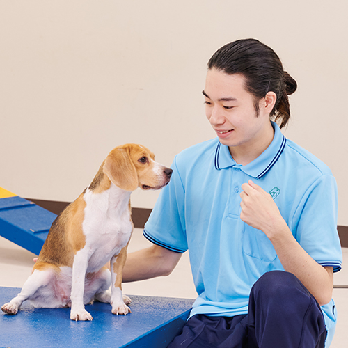 中央動物専門学校4
