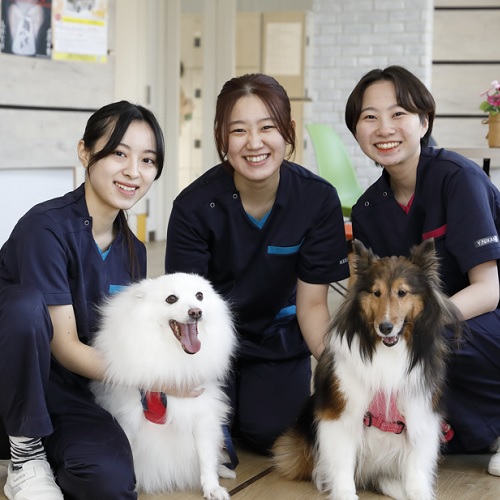 吉田学園動物看護専門学校4