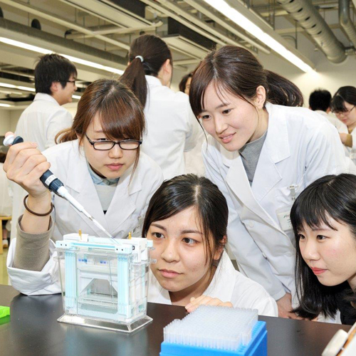 日本薬科大学4