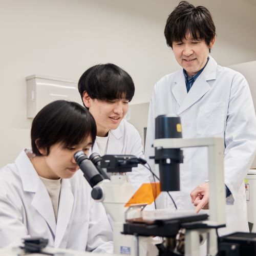 横浜薬科大学2